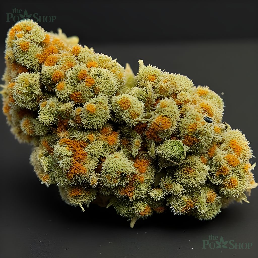 Sunset Sherbet - Private Reserve - Image 2