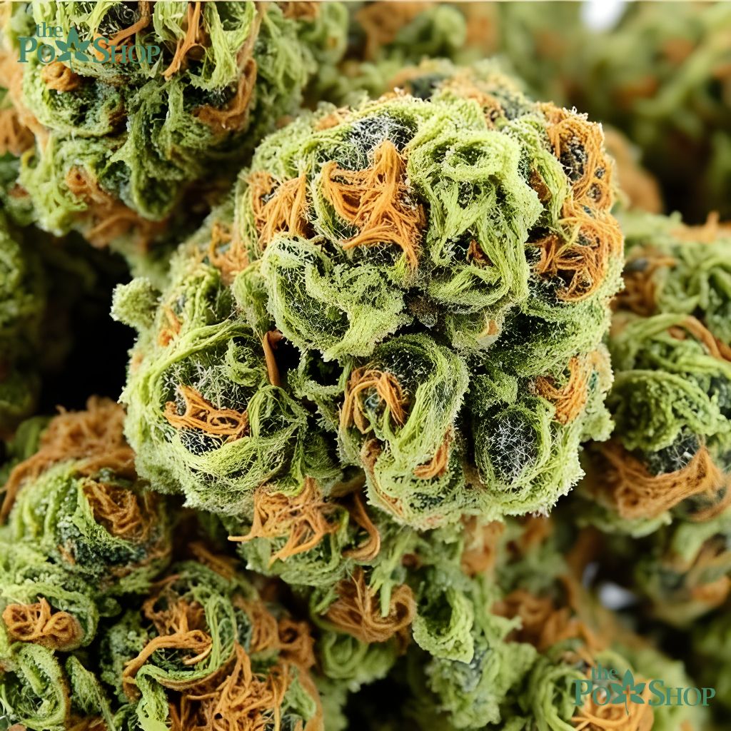 Sour Diesel - Top - Image 3