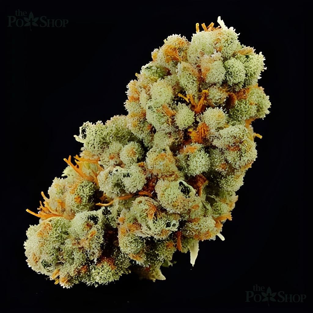 Sunset Sherbet - Private Reserve - Image 5