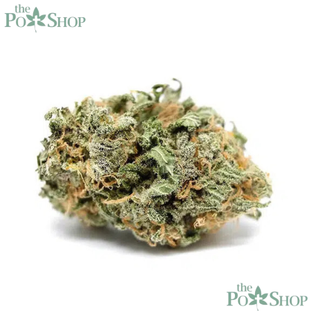 Billy Kimber OG - Connoisseur