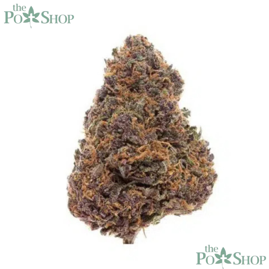 Forbidden Fruit - Mid