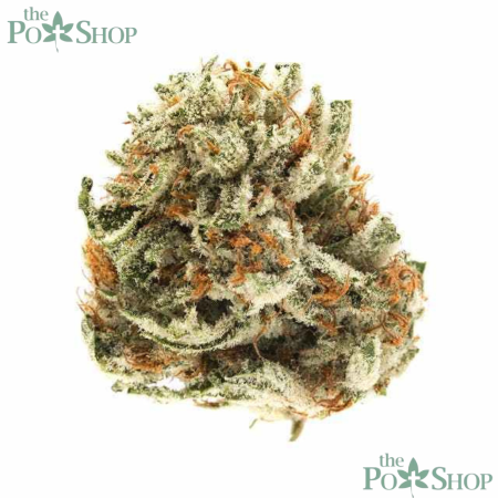 Gelato - Private Reserve