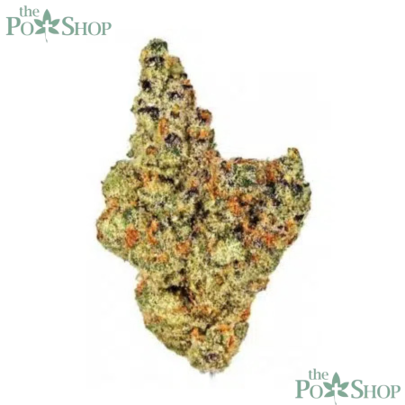 Gelonade Strain - Private Reserve