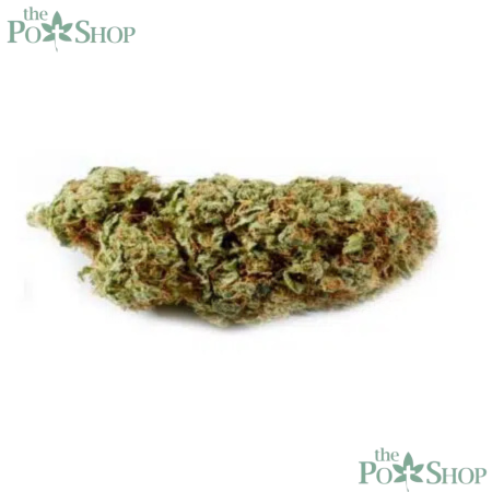 Georgia Pie Strain- Private Reserve