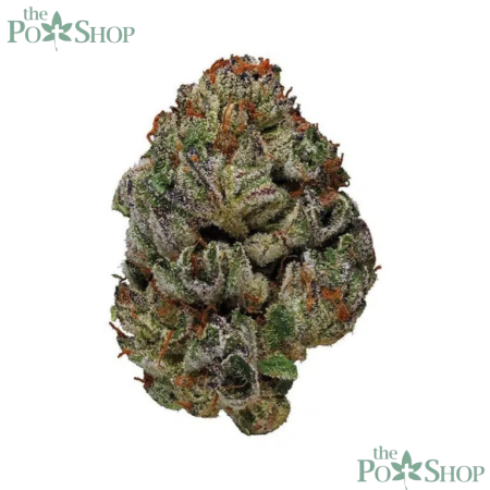 Ice Cream Cake - Private Reserve