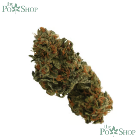 Kosher Dawg - Private Reserve