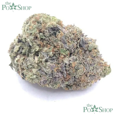 Mac 1 Strain - Private Reserve