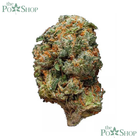 Martian Candy OG - Private Reserve