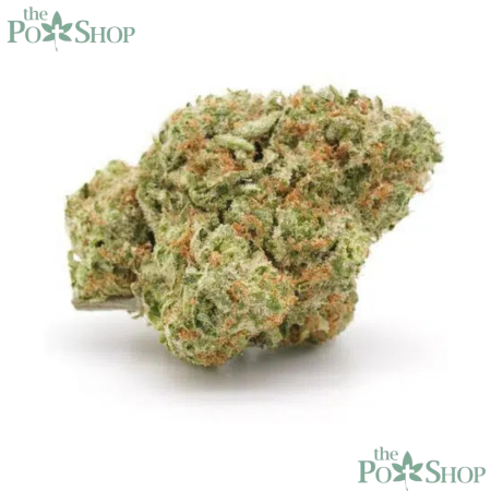 Oreoz Strain - Private Reserve