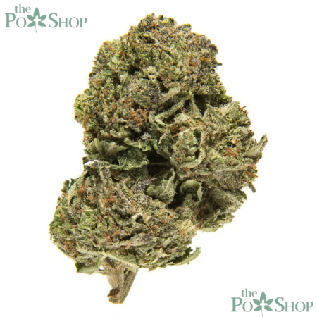 Platinum Bubba - Top