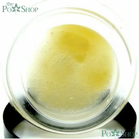 ROLEX OG - ROLLING UP BADDER 1G