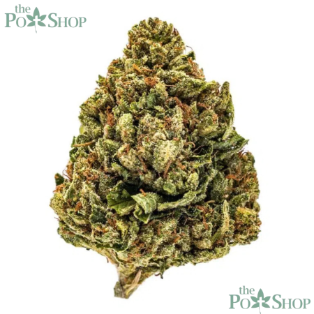 SFV OG - Private Reserve