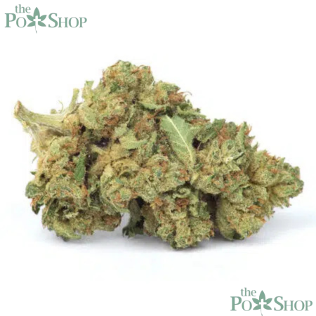 Skywalker Kush - Top
