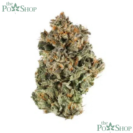 Sunset Sherbet - Private Reserve