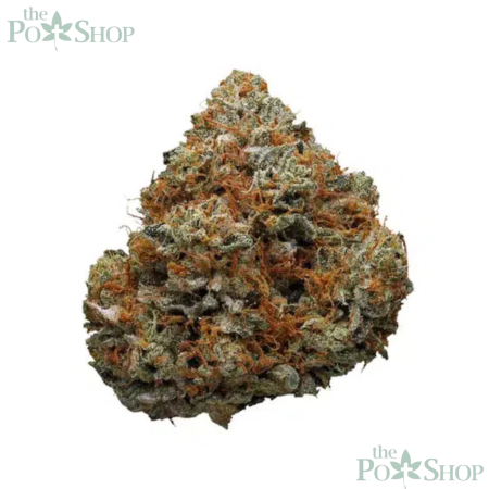 Godfather OG - Private Reserve