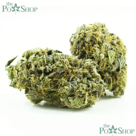 White Truffle Strain - Private Reserve