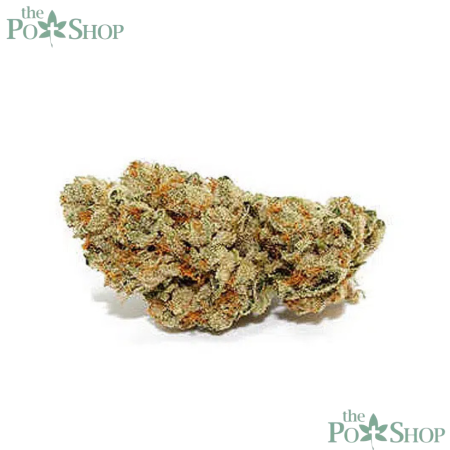 Double Barrel OG - Private Reserve