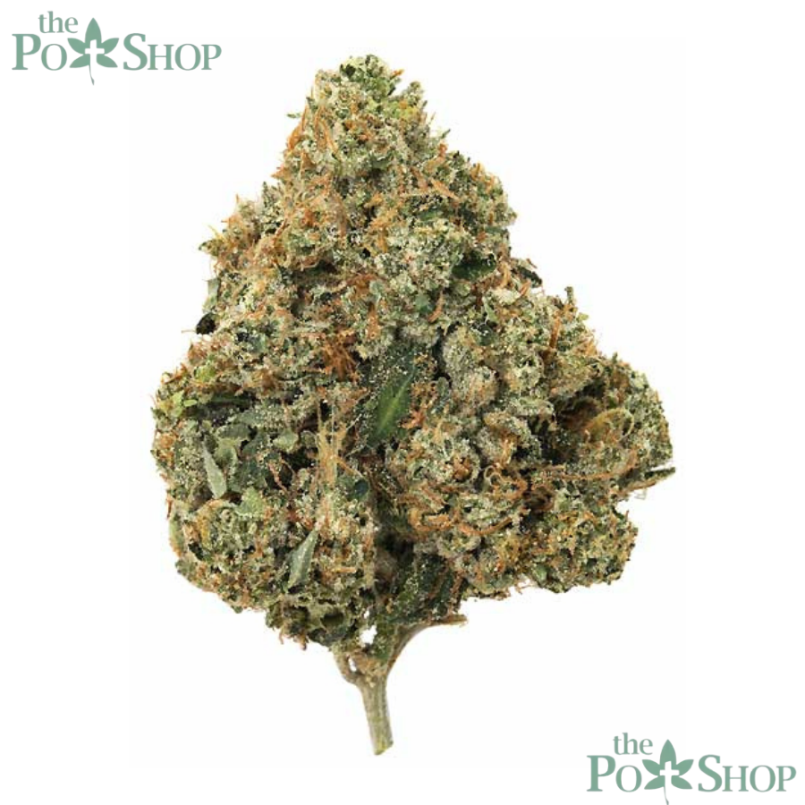 Mars OG - Private Reserve