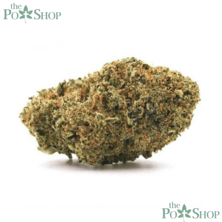 Master Yoda - Private Reserve