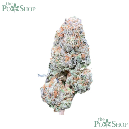 Mimosa - Private Reserve