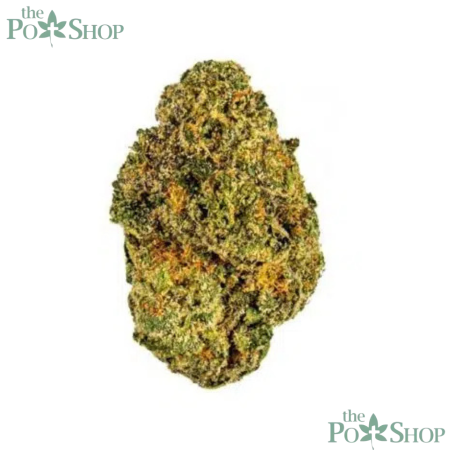 Sherblato - Private Reserve