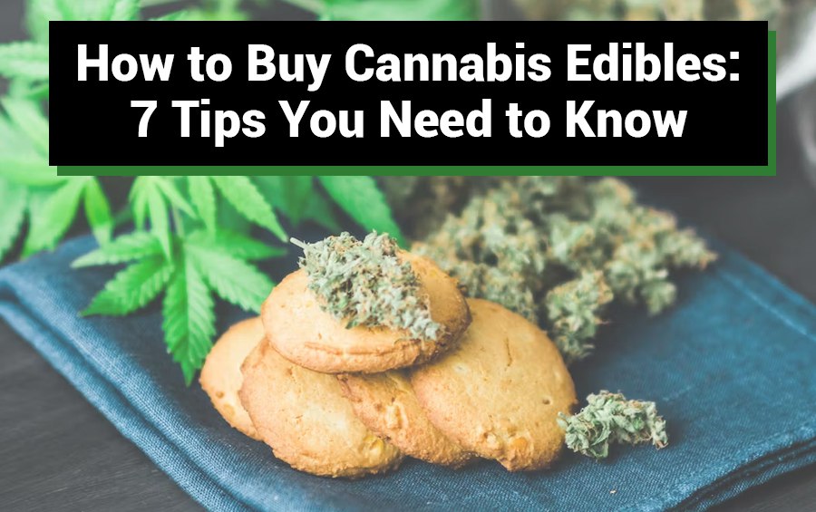 How to Buy Cannabis Edibles: 7 Tips You Need to Know