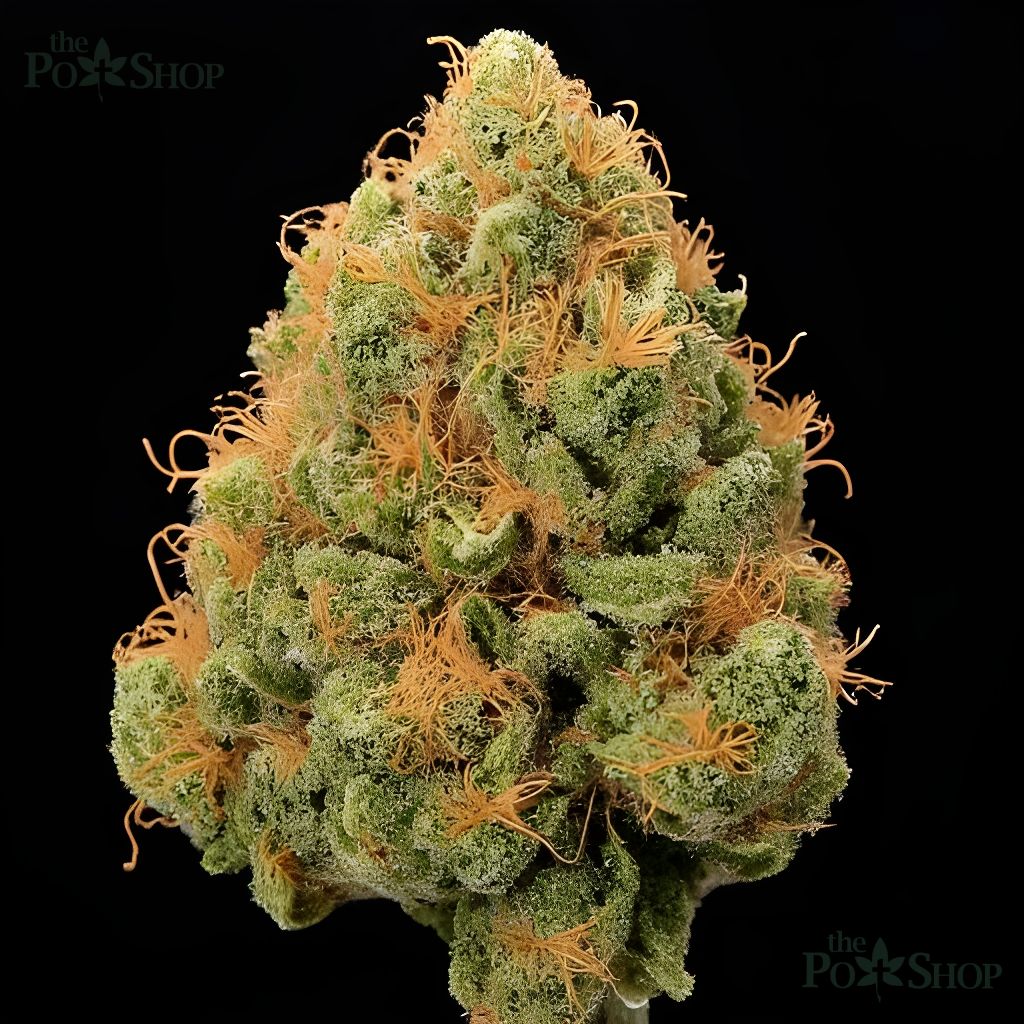 King Louis XIII - Private Reserve - Image 3