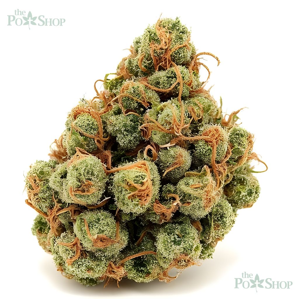 King Louis XIII - Private Reserve - Image 4