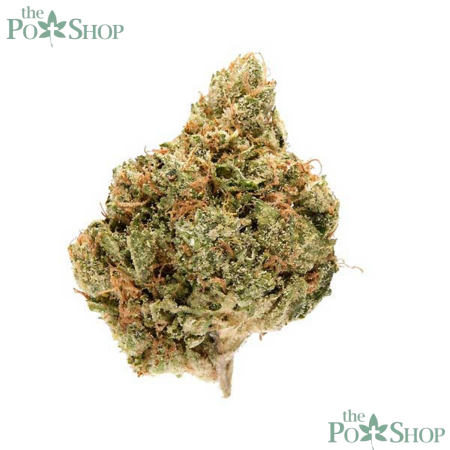 King Louis XIII - Private Reserve