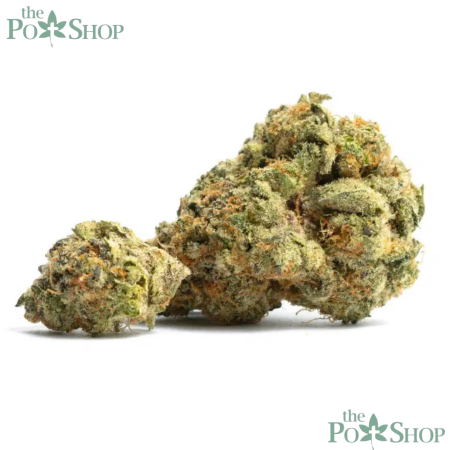 Orange Cookies - Top