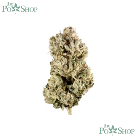 Gorilla Glue #4 - Top