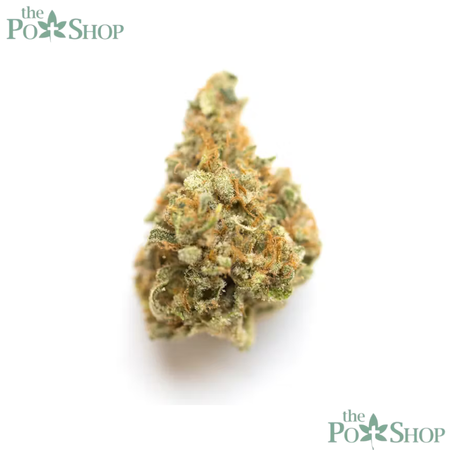 MAC (Miracle Alien Cookies) - Top