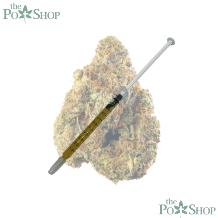 CANDY CAKE - SYRINGE