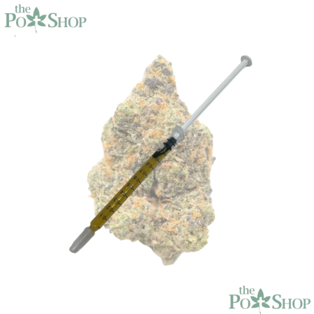 GUAVA SHERBET - SYRINGE