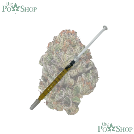 ICE CREAM CAKE - SYRINGE