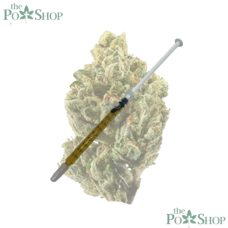 OG KUSH - SYRINGE